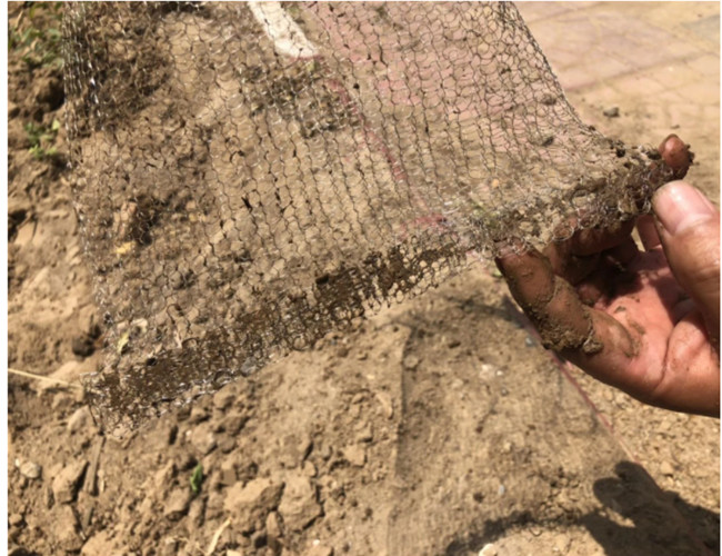 SS304 Knitted Wire Mesh Planting Basket 0.05-0.48mm For Tree / Flower