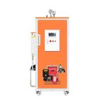 Fully Automatic Steam Generator Boiler 50kg 100kg 200kg 300kg Industrial