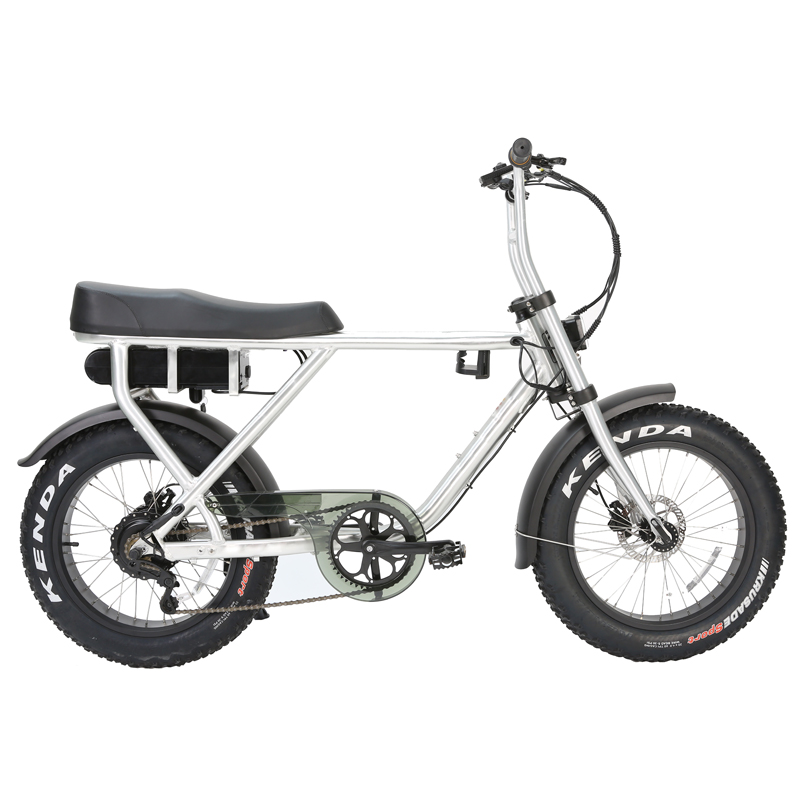 Disc Brake 48v1000w Electric Bicycle City Design Electric Fat Bike for Adults Battery15ah/20ah