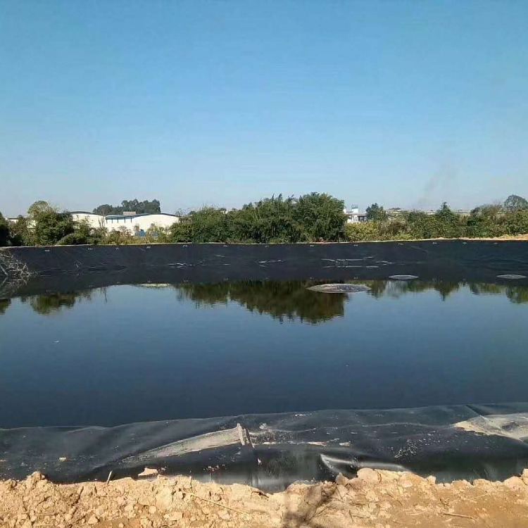 High Surface Hardness HDPE Black Fish Pond Liner Plastic Geomembrane for Fish Farming