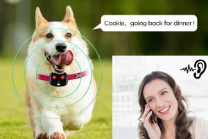 Wholesale 35g Black Smart Dog Collar Gps Tracker Low Battery Alarm from china suppliers
