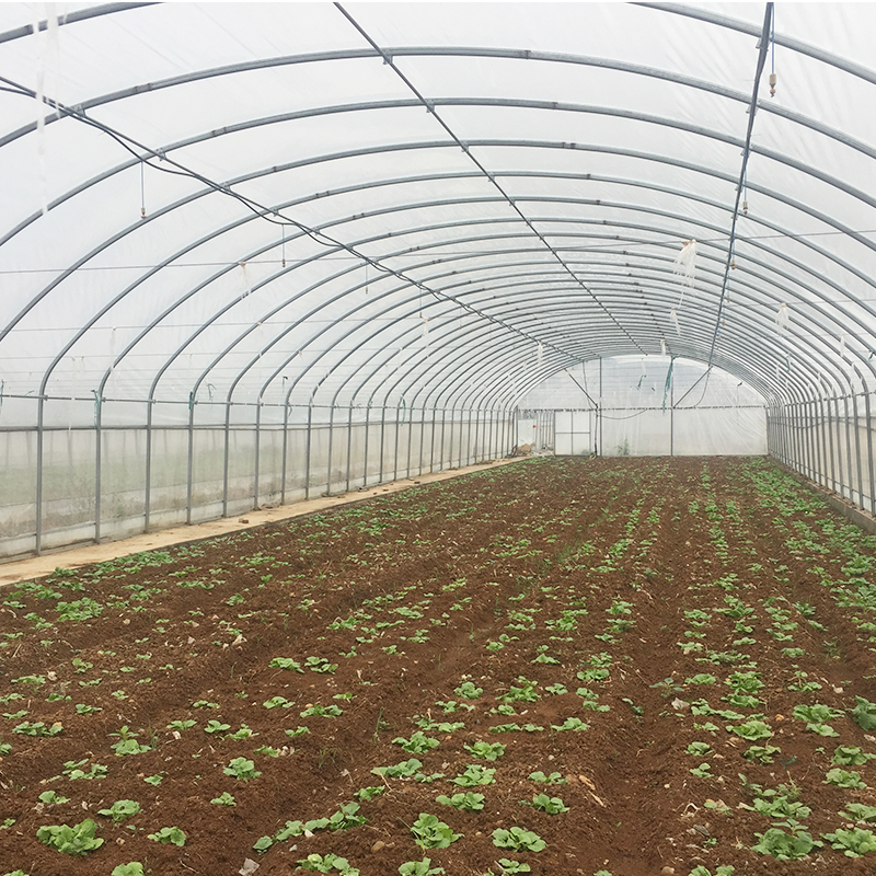 Galvanized Skeleton Polytunnel Greenhouse for Plants Growing Easy to Install by LiTai