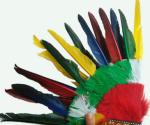 Indian headdress, ground anfield dress party outfit, feather headdress, chief