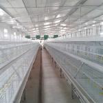 4 Tiers 8 Doors Broiler Chicken Cage Q235 Cold Drawn Wire Welding Large
