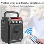 Remote Control Echo Recorder Amplifier Sound Speaker FM Radio Professional Audio