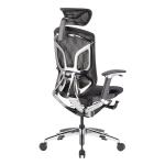 Dvary Mesh Seat Chair Gaming Style Ergonomic Chairs Adjustable Ergonomic Office