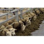 Steel Structure Prefab Farm Building for Cow Barn Sheep/Cattle/Dairy/Goat House