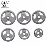 Gray Painted Cast Iron Fitness Equipment Barbells Hammertone Finish