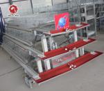 10000 Layer Farm Used Battery Chicken Cage 12 Weeks To 16 Weeks