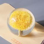 Fashion Crystal Ball Paperweight , Resin Dandelion Paperweight