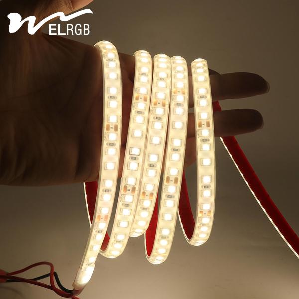 IP68 Weatherproof Dimmable 12V/24V LED Light Strip with 50000 Working Lifetime