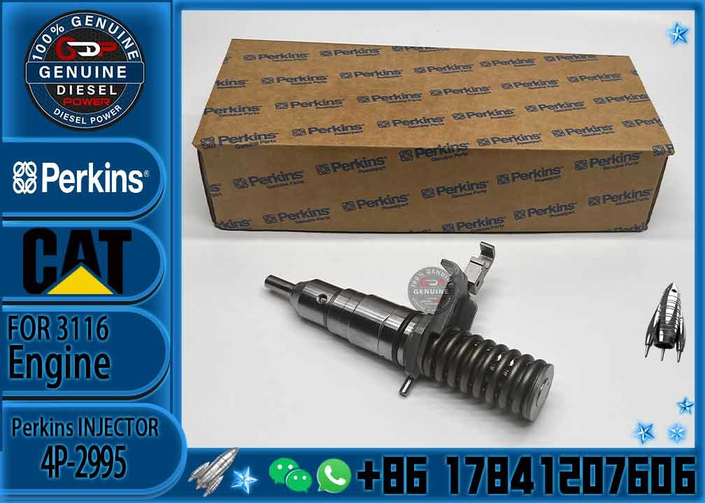 Excavator Parts CAT 3114 3116 3216 Engine fuel injector fuel injector 4P-2995 6I-3669 0R-8471 0R-8475 0R-8473