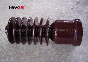 China HV transformer bushing insulator brown specially for South African market on sale