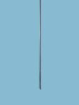 Ureteroscope Tubes Rigid Endoscope Spare Parts Medical Ureteroscopy Tube