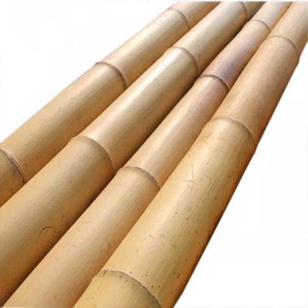 Plant Stakes Natural Garden Stakes For Tomato Bean Flowers Trees Potted And