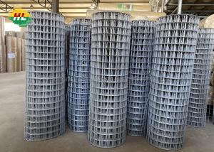 Wholesale 50ft BWG15 Welded Wire Mesh Rolls , HUILONG Mesh Garden Fencing Roll from china suppliers