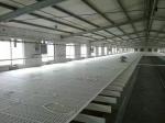 Lightweight Chicken House Floor Slats Plastic Slats For Poultry Houses