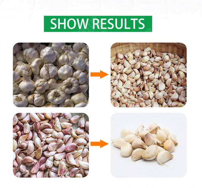 800KG/Hr Automatic Food Processing Machines Peeled Garlic Color Sorter Machine