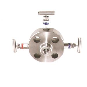 Wholesale 1/2'' BSP 100C 2 Valve Manifold 6000 Psi 2 Way Manifold Valve Stainless Steel from china suppliers