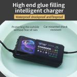 Private Mold 48V30a Lead Acid Battery Charger for Electric Bikes PC Fireproof