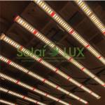 Samsung LM301H 100watt Horticulture LED Grow Lights