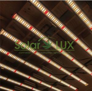 Wholesale Samsung LM301H 100watt Horticulture LED Grow Lights from china suppliers