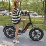 60km Aluminium Alloy 21 Speed Electric Bike Double Disc Brake