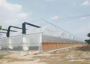 Wholesale Film / NFT Cover Material Plastic Film Greenhouse Good Insulation Performance from china suppliers