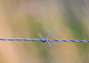 Wholesale Farm Protection Single Strand Hot Dipped Galvanized Barbed Wire Price Per Roll from china suppliers