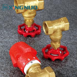 Wholesale Corrosion Resistant Stop Gate Valve 200 PSI Pressure Rating Durable NPT BSP Thread from china suppliers