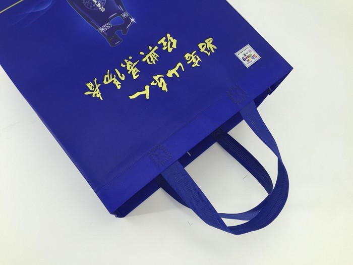 China Factory Promotional Custom Shopping PP Non Woven Bag