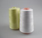 100% Polyester Dacron Sewing Thread 30/2 Knitting Cloth Suits