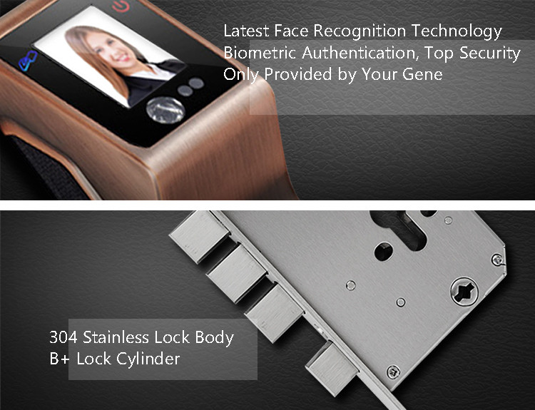 Intelligent Face Recognition Door Lock Support IC Card For Home Or Office