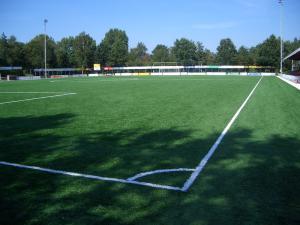 Wholesale Waterproof Natural Looking Artificial Grass Football Pitches Fake Grass Carpet from china suppliers