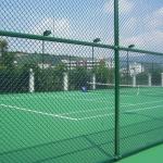 Metal 6 Feet Chain Link Mesh Fencing Hot Dip Galvanized Pvc Coated