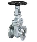 API 600 Cast Steel Industrial Gate Valve Handwheel / Gear Operations ZGZ6001