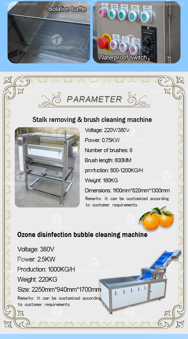 Dust Scrub Sortment Fruit Production Line Bubble Controlling Pineapple Vegetable Cleaning