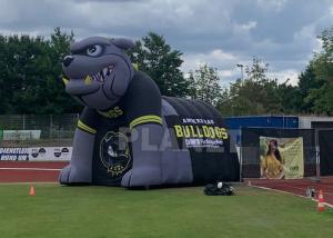 Wholesale Custom Team Oxford Inflatable Football Sports Helmet &amp; Tunnel Mascot Inflatable Bulldog Tunnel from china suppliers