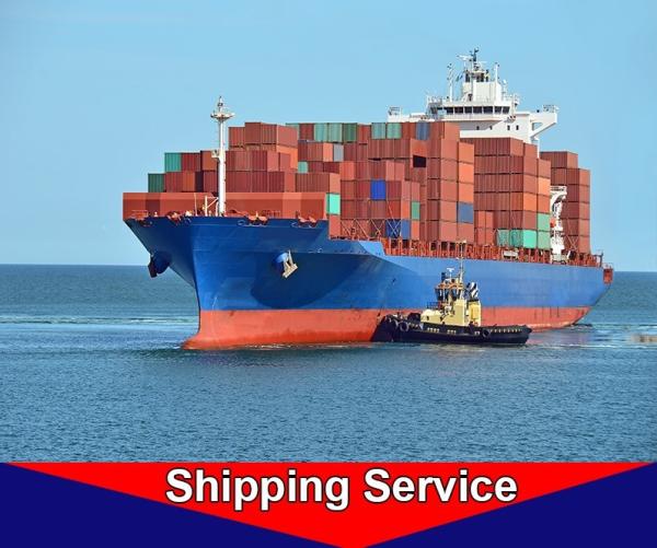 Reliable Sea Freight Forwarder , Ocean Cargo Shipping Services Shenzhen To