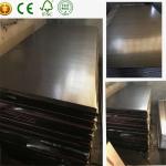 Wire Mesh Anti Skid 1500*3000mm Pure Bond Plywood