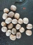 Professional dried fruit and nuts factory wholesale sale fresh and dried walnuts
