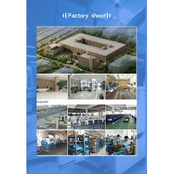 Automatic Granule Packing Machine with 10-100g Capacity and 1-15 bag/min Speed for Small Bags