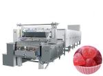 Fully Automatic Jelly Gummy Candy Depositing Line