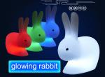 LED colorful light Yutu Mid-Autumn Festival moon rabbit modeling lighhting