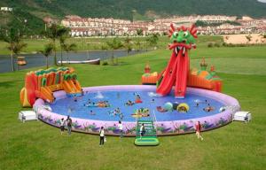 Wholesale Fantasy Dragon Slide Pool Water Park For Kids from china suppliers