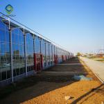 Alloy Transparent 9.6m Commercial Glass Greenhouse
