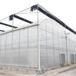 8m Span Width Poly Tunnel Greenhouse For High Yield Tomato Cultivation