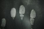 C123 Glod/silver spherical fingerprint powder