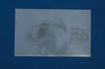 G043 White sticker footprint sample collecting sheet