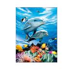 Living Room Decoration 3D Lenticular Photography Sealife Dolphin Images With